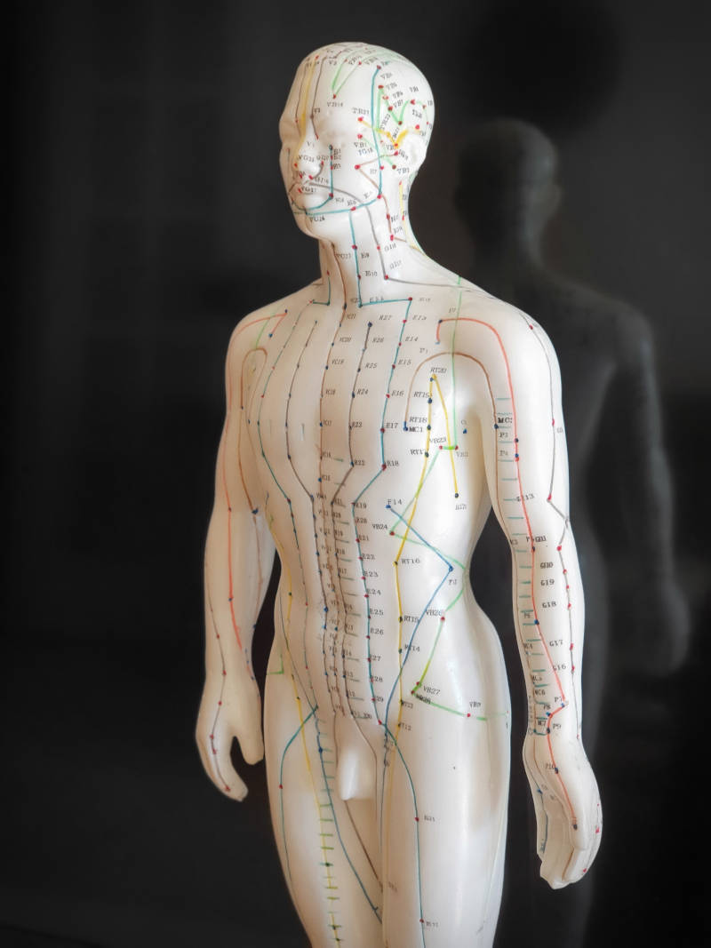 Le réseau des méridiens selon la MTC